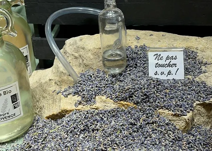 Y&r Résidence * Digne-les-Bains